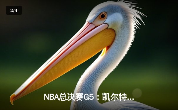 NBA总决赛G5：凯尔特人绝境反击，塔图姆狂砍41分助球队夺赛点 - 2